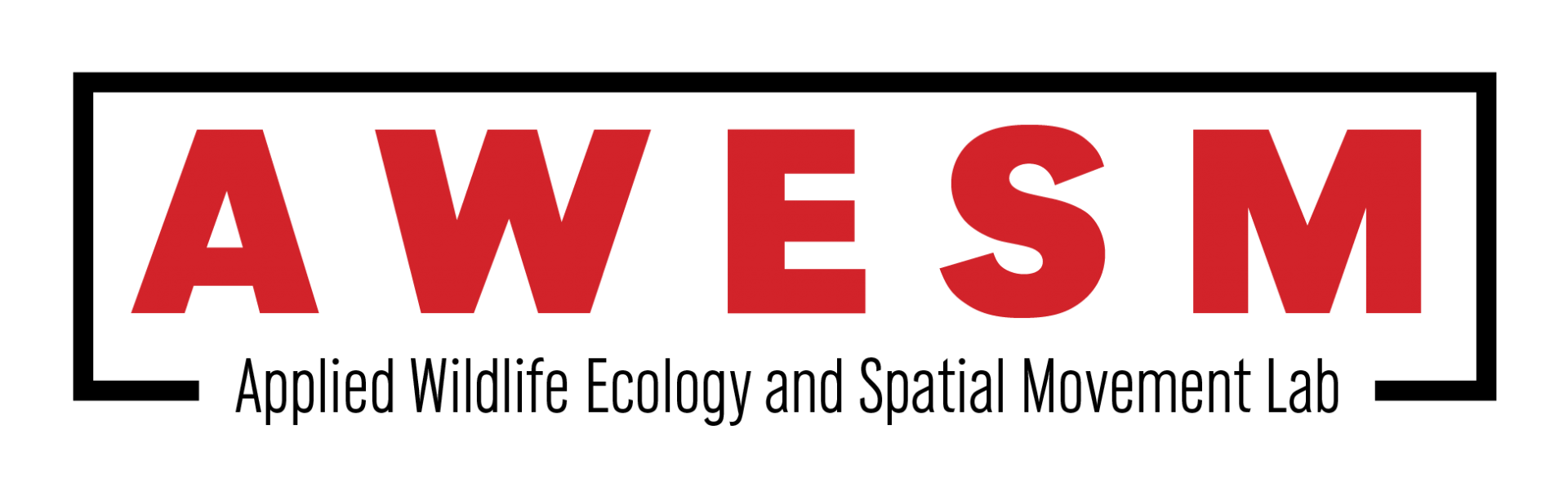 AWESM Logo